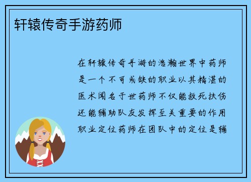 轩辕传奇手游药师